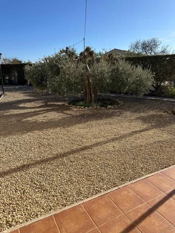 5 sypialnia Finka/Dom wiejski na sprzedaż w Torrellano, Elche / Elx z basenem - 590 000 € (Ref: 9029933)