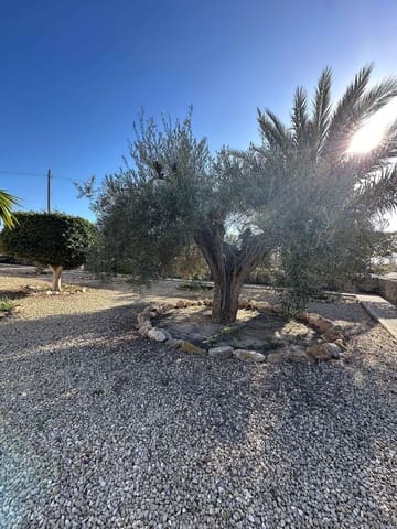 5 sypialnia Finka/Dom wiejski na sprzedaż w Torrellano, Elche / Elx z basenem - 590 000 € (Ref: 9029933)