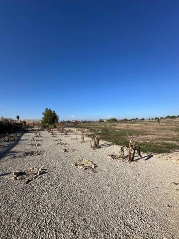 5 camera da letto Finca/Casa di Campagna in vendita in Torrellano, Elche / Elx con piscina - 590.000 € (Rif: 9029933)