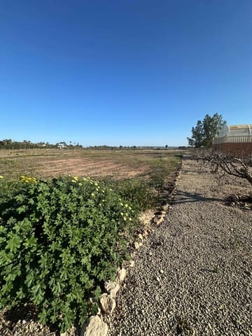 5 camera da letto Finca/Casa di Campagna in vendita in Torrellano, Elche / Elx con piscina - 590.000 € (Rif: 9029933)