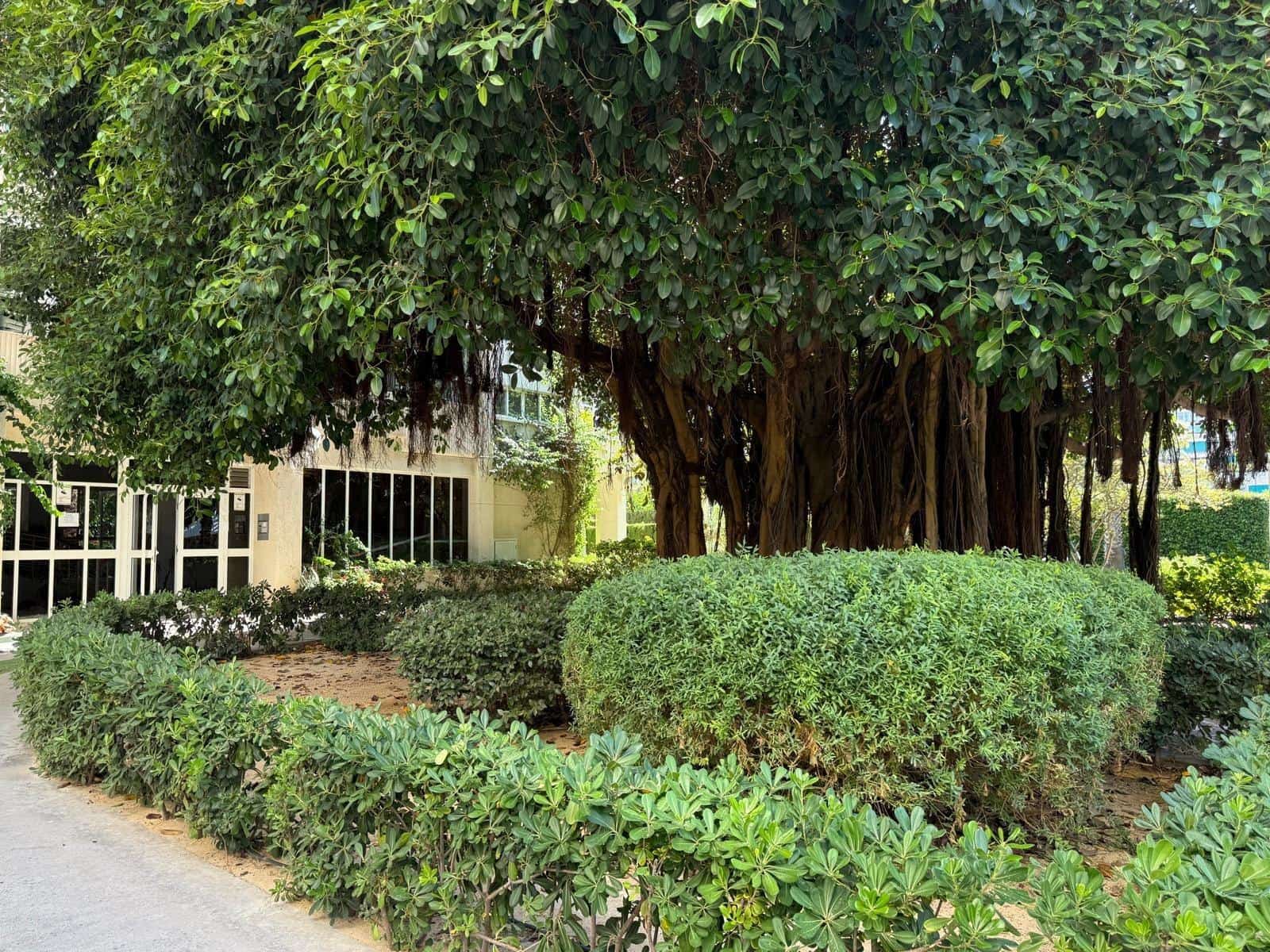 3 soverom Leilighet til salgs i Playa de San Juan med garasje - € 569 000 (Ref: 9619268)