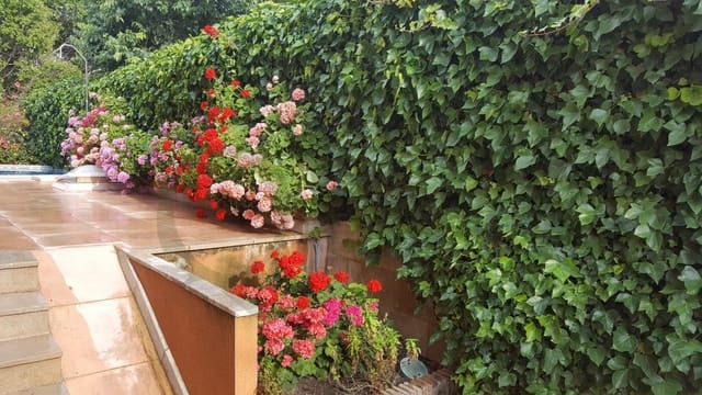 4 Zimmer Villa zu vermieten in Alicante Golf, Alicante / Alacant Stadt mit Pool Garage - 3.500 € (Ref: 9652034)