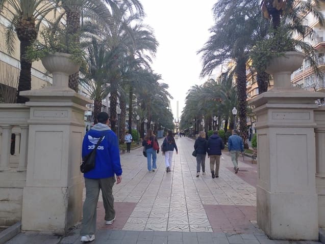 4 bedroom Commercial for rent in Alicante / Alacant city - € 6,000 (Ref: 9674258)