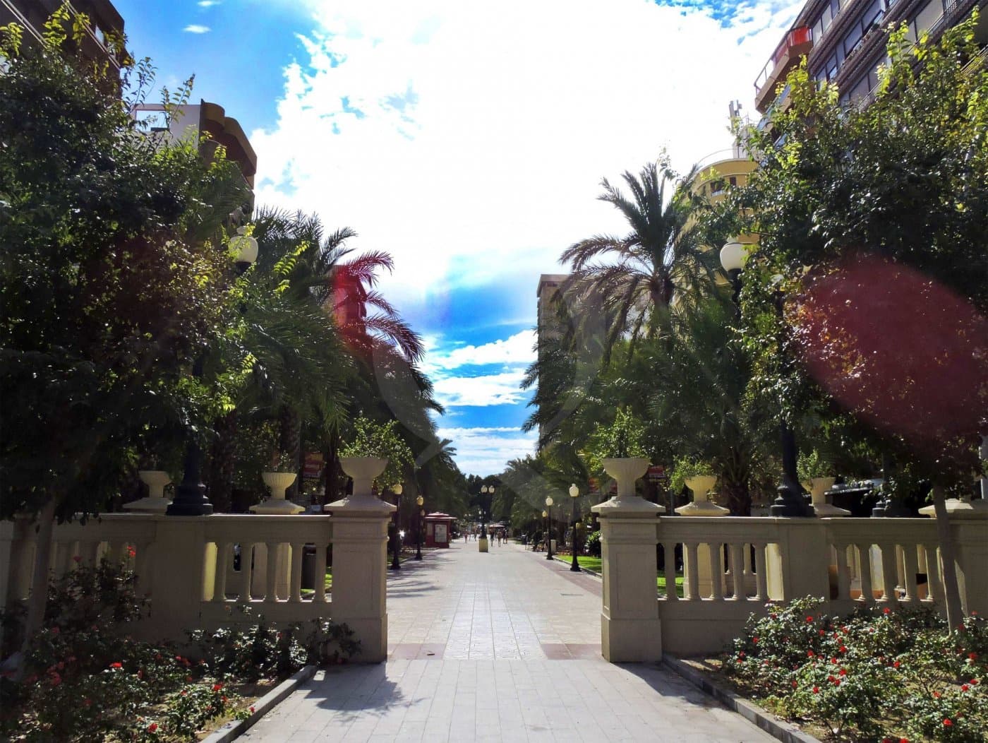 Appartement de 2 chambres à louer à Alicante ville - 1 750 € (Ref: 9752057)