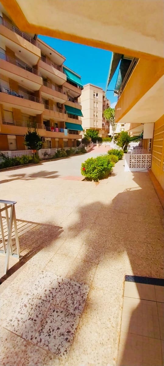3 soverom Leilighet til salgs i Guardamar del Segura - € 199 990 (Ref: 10017600)