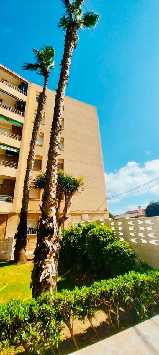 3 soverom Leilighet til salgs i Guardamar del Segura - € 199 990 (Ref: 10017600)