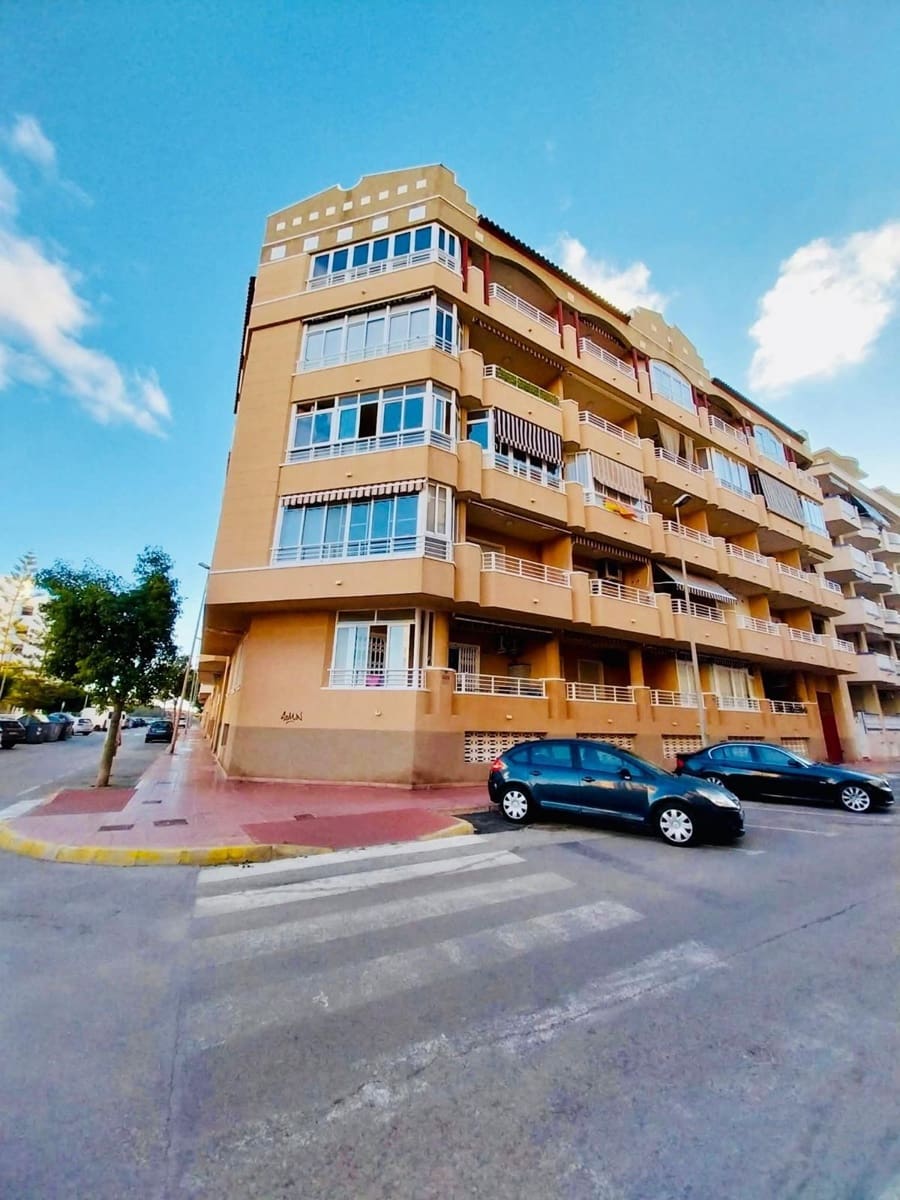 1 soveværelse Lejlighed til leje i Guardamar del Segura - € 625 (Ref: 10159821)