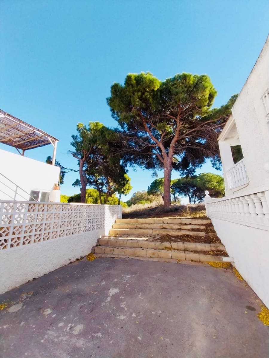 3 soverom Bedrift til salgs i Guardamar del Segura - € 343 000 (Ref: 7992521)