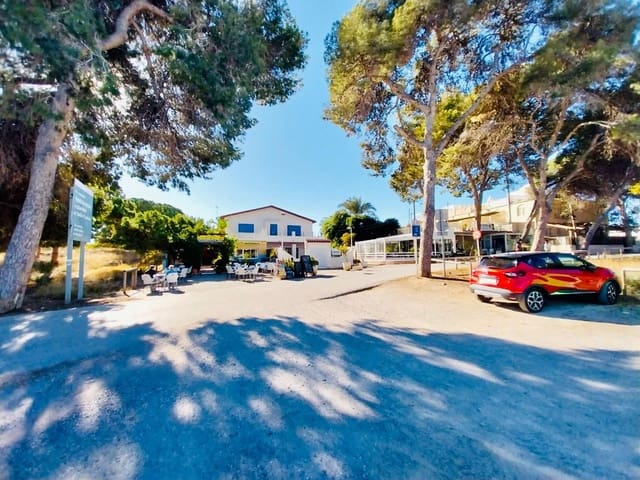 3 bedroom Business for sale in Guardamar del Segura - € 343,000 (Ref: 7992521)