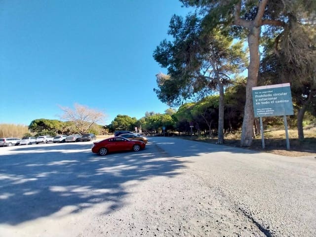 3 bedroom Business for sale in Guardamar del Segura - € 343,000 (Ref: 7992521)