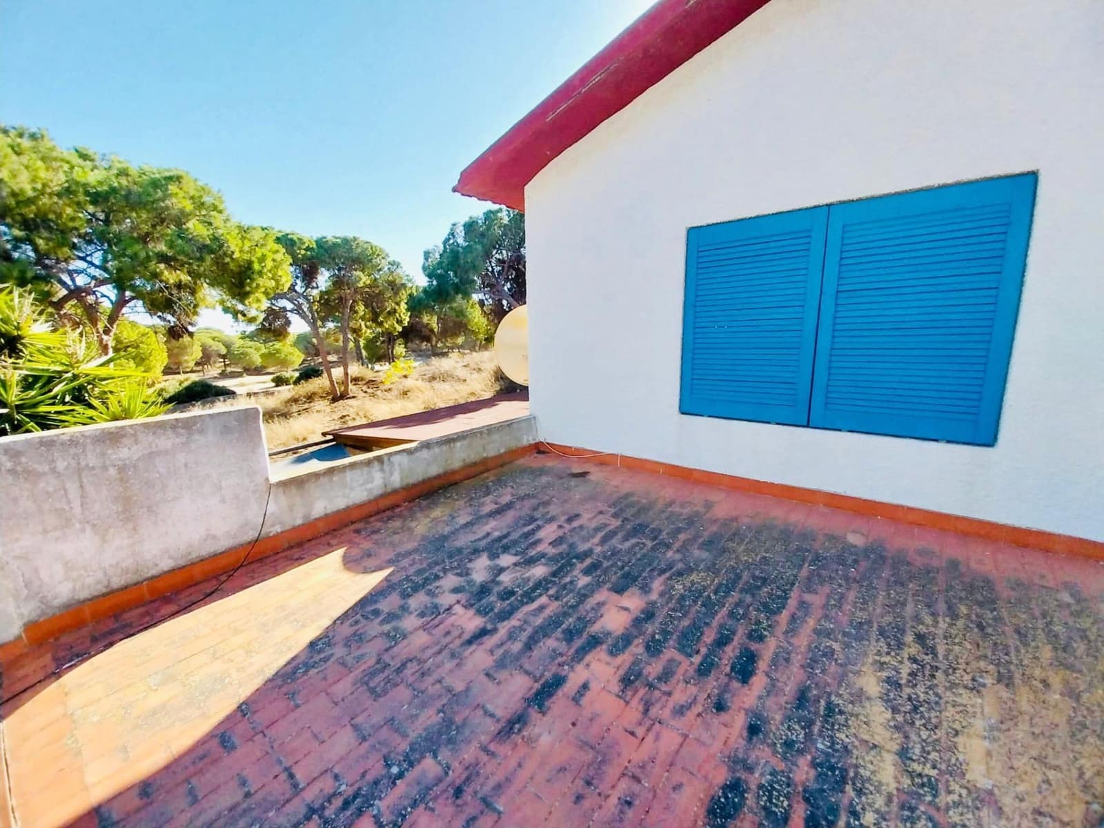 3 soverom Bedrift til salgs i Guardamar del Segura - € 343 000 (Ref: 7992521)