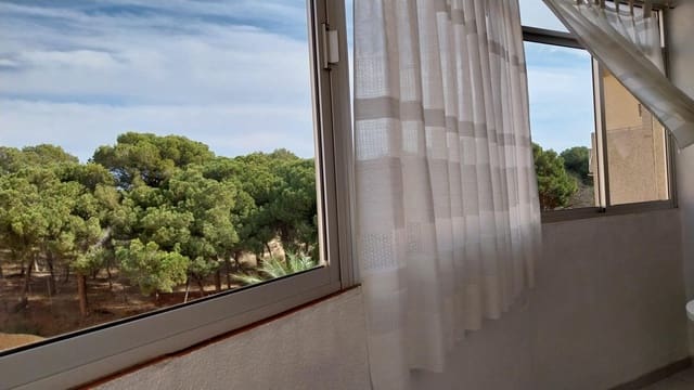 2 slaapkamer Appartement te huur in Guardamar del Segura - € 500 (Ref: 8103401)