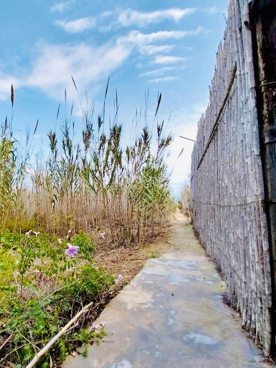 5 soveværelse Finca/Landehus til salg i Guardamar del Segura - € 499.900 (Ref: 8663201)