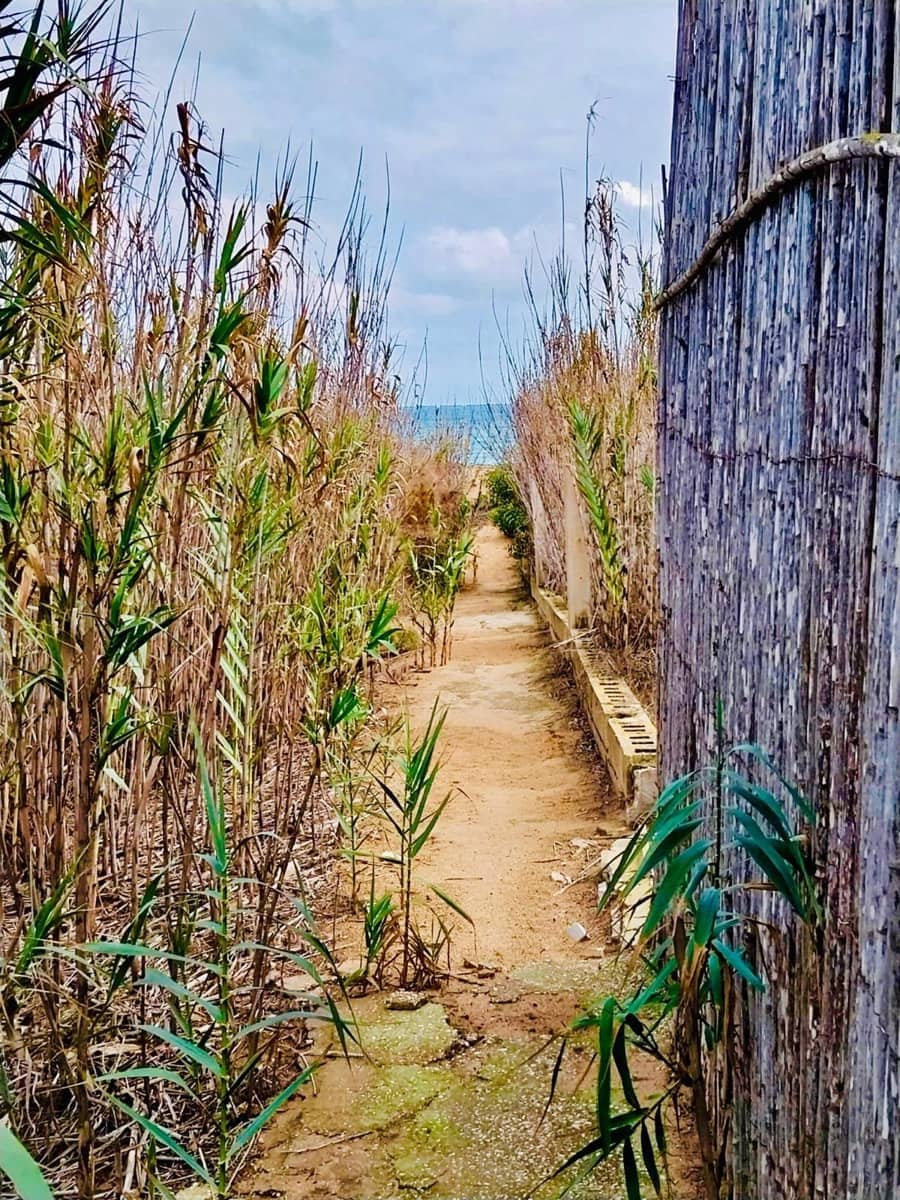 5 soveværelse Finca/Landehus til salg i Guardamar del Segura - € 499.900 (Ref: 8663201)