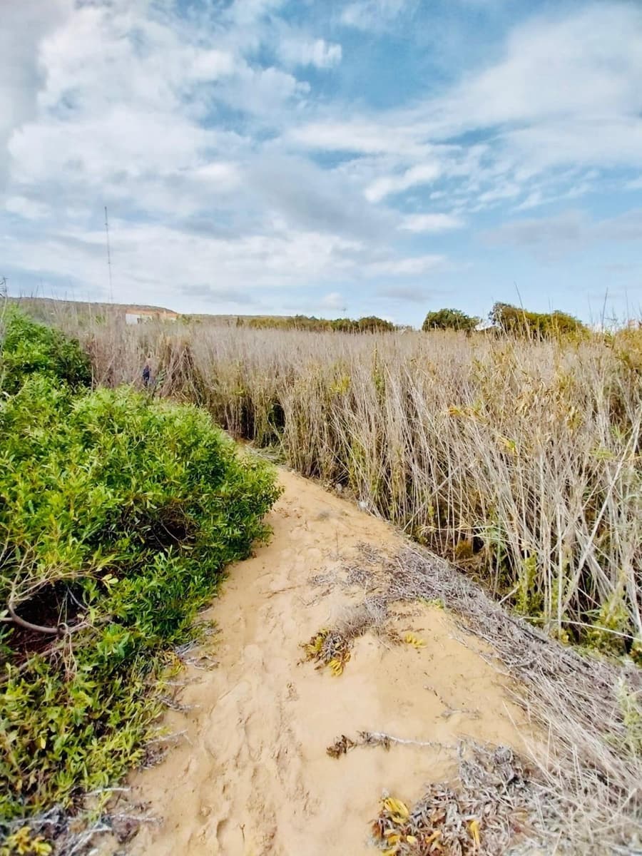 5 soveværelse Finca/Landehus til salg i Guardamar del Segura - € 499.900 (Ref: 8663201)