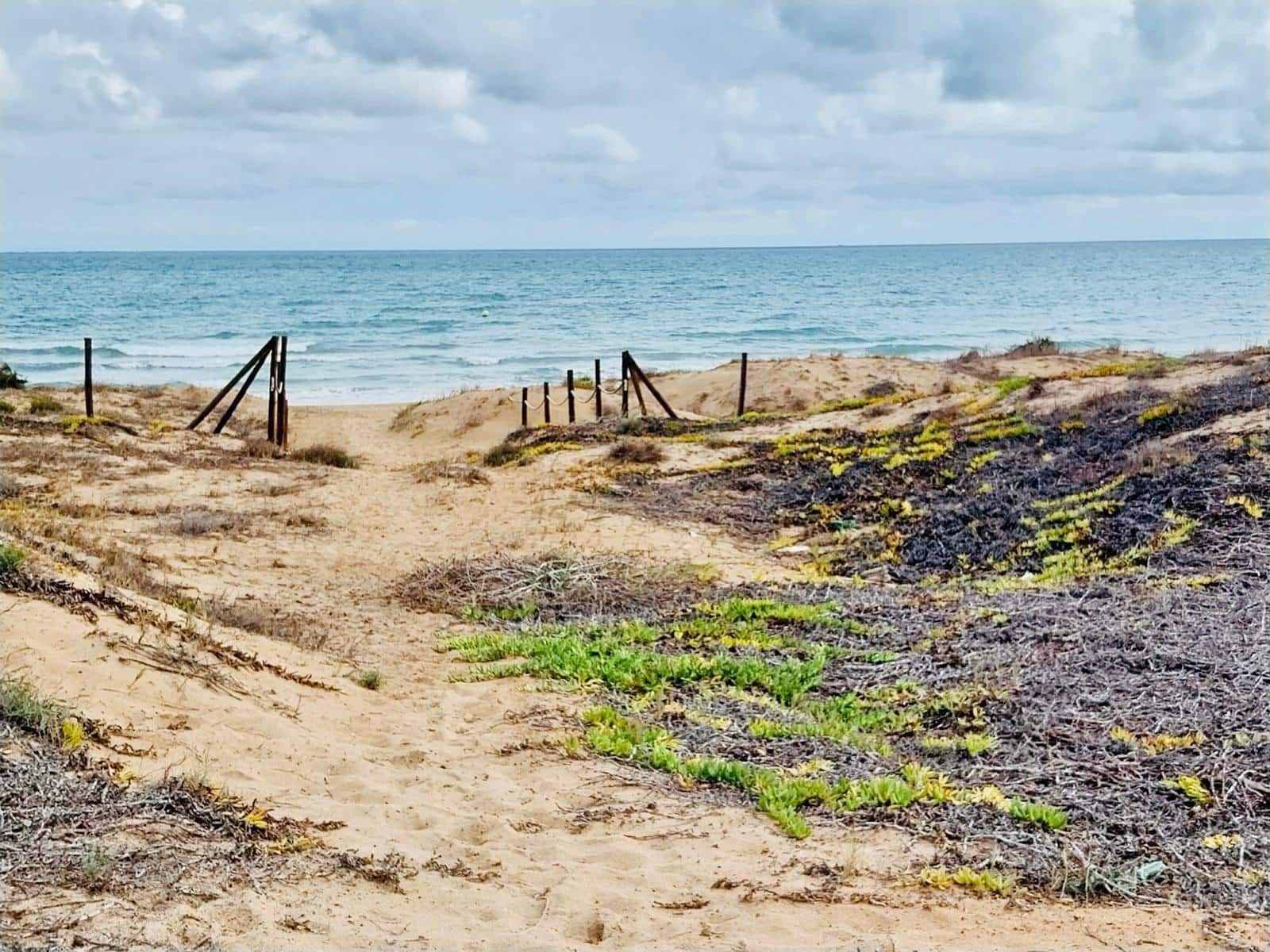 5 soveværelse Finca/Landehus til salg i Guardamar del Segura - € 499.900 (Ref: 8663201)