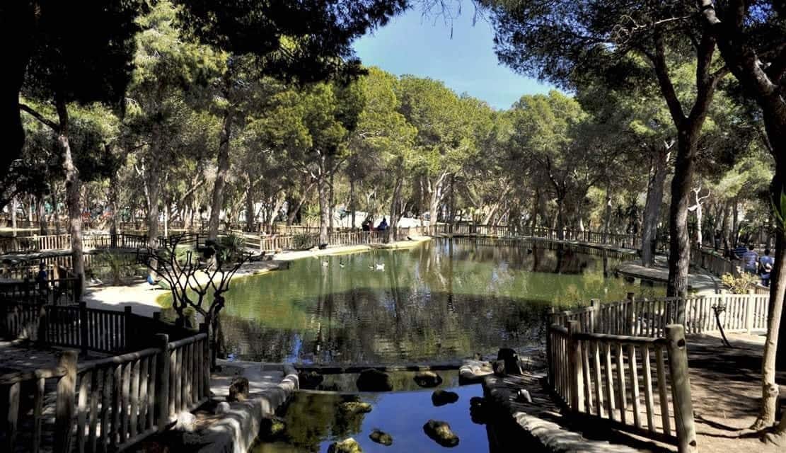 Bungalow de 5 habitaciones en Guardamar del Segura en venta con piscina garaje - 328.500 € (Ref: 9169605)