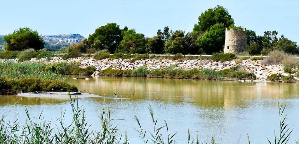 Działka budowlana na sprzedaż w Guardamar del Segura - 1 200 000 € (Ref: 9264649)