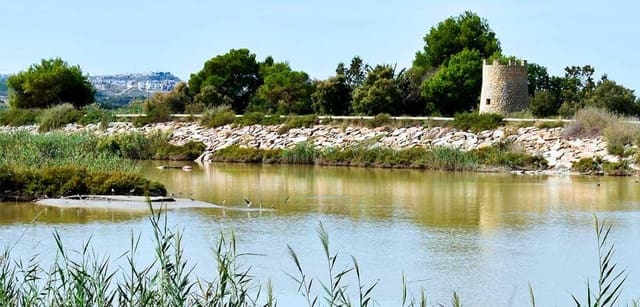 Byggegrund til salg i Guardamar del Segura - € 1.200.000 (Ref: 9264649)