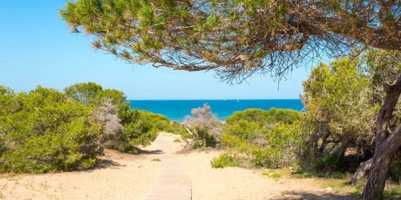 3 Zimmer Apartment zu verkaufen in Guardamar del Segura mit Garage - 175.000 € (Ref: 9338123)