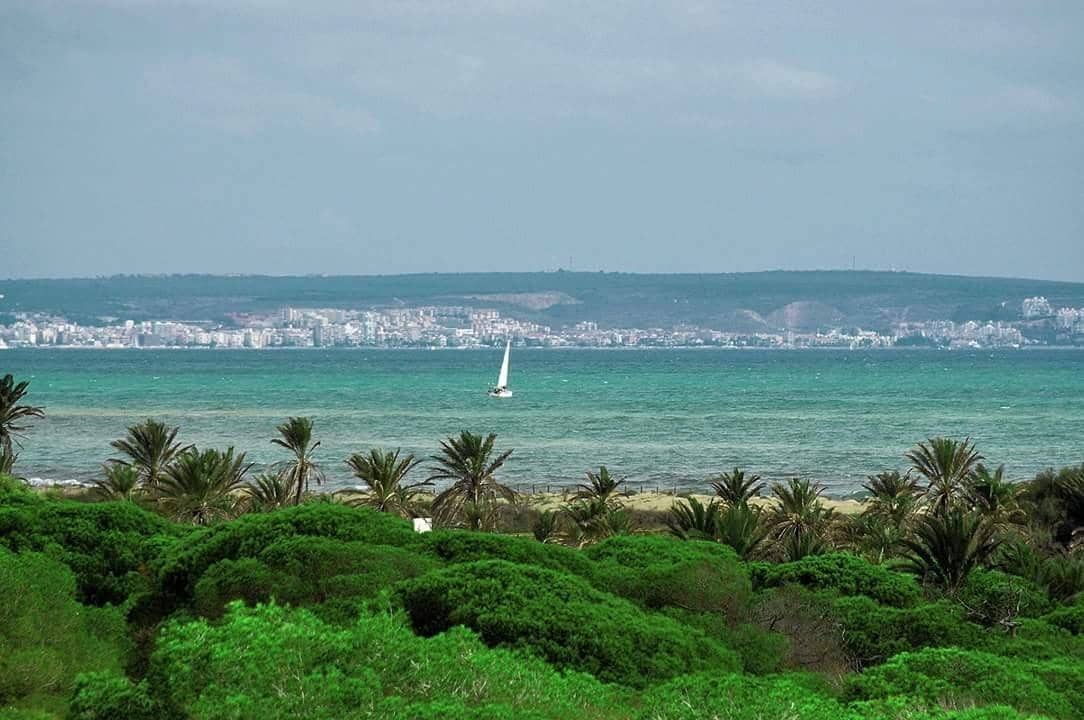 5 soverom Hus til salgs i Guardamar del Segura - € 189 990 (Ref: 9497723)