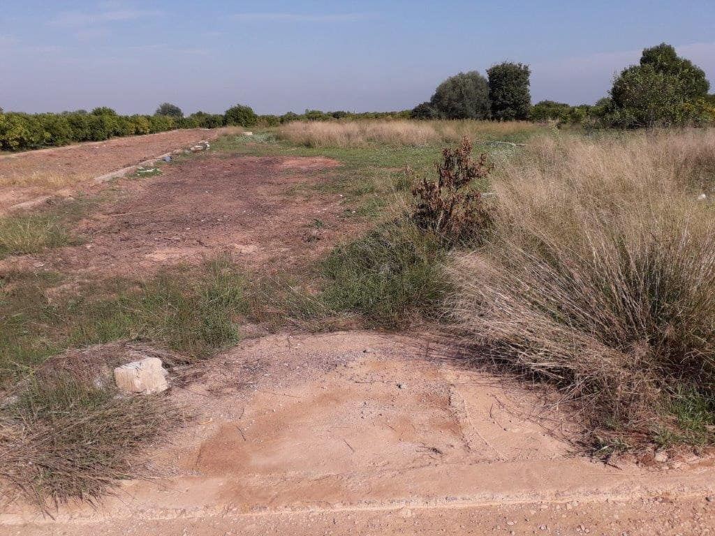 Undeveloped Land for sale in Burriana / Borriana - € 9,000 (Ref: 9841102)