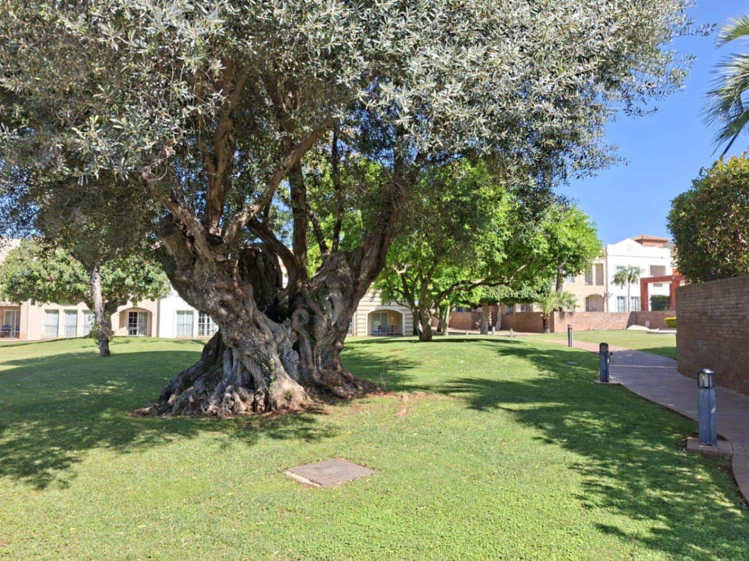 2 camera da letto Appartamento in vendita in Denia con piscina garage - 443.000 € (Rif: 9332744)