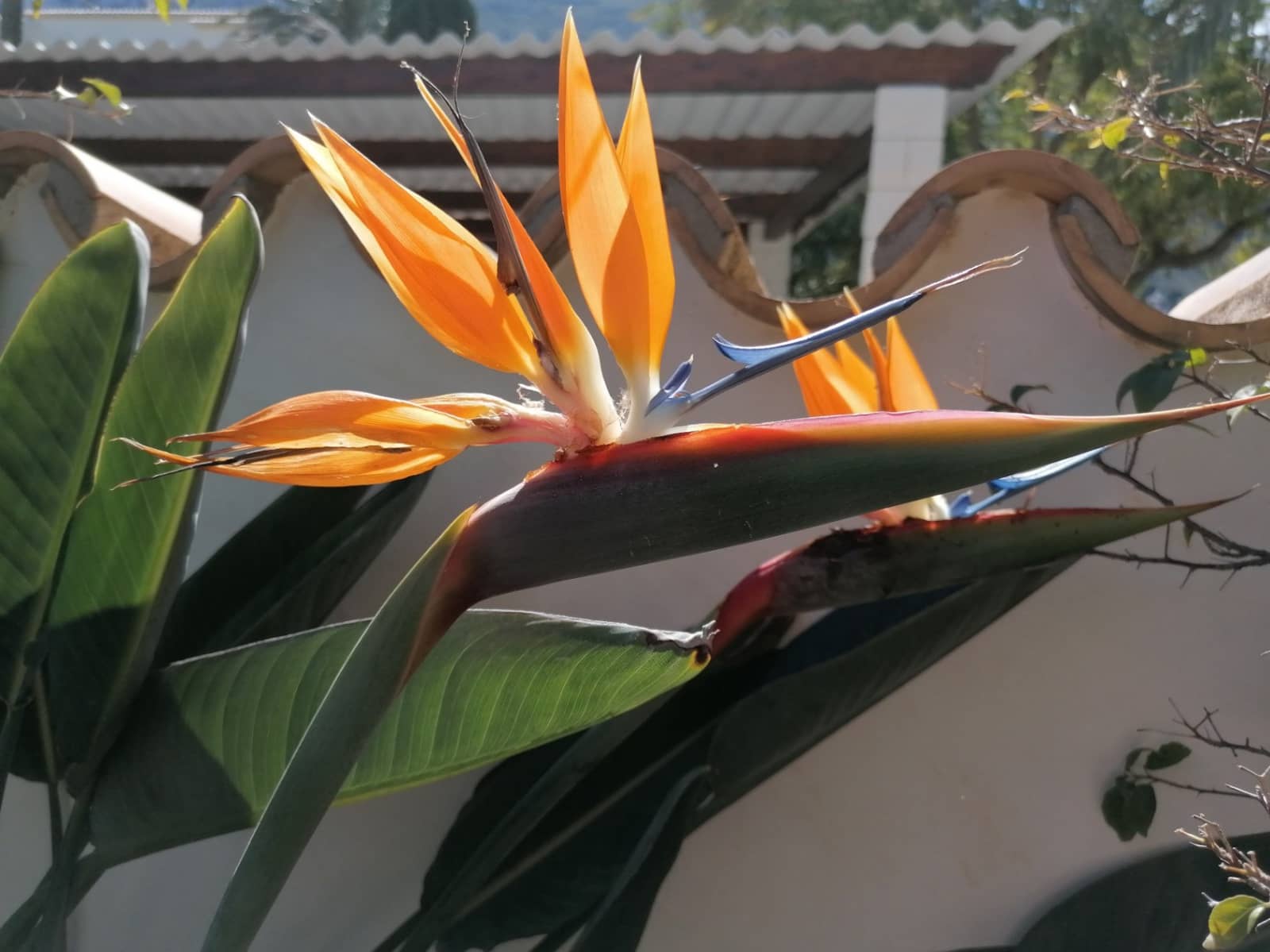 3 bedroom Villa for sale in Denia with pool garage - € 860,000 (Ref: 9395428)