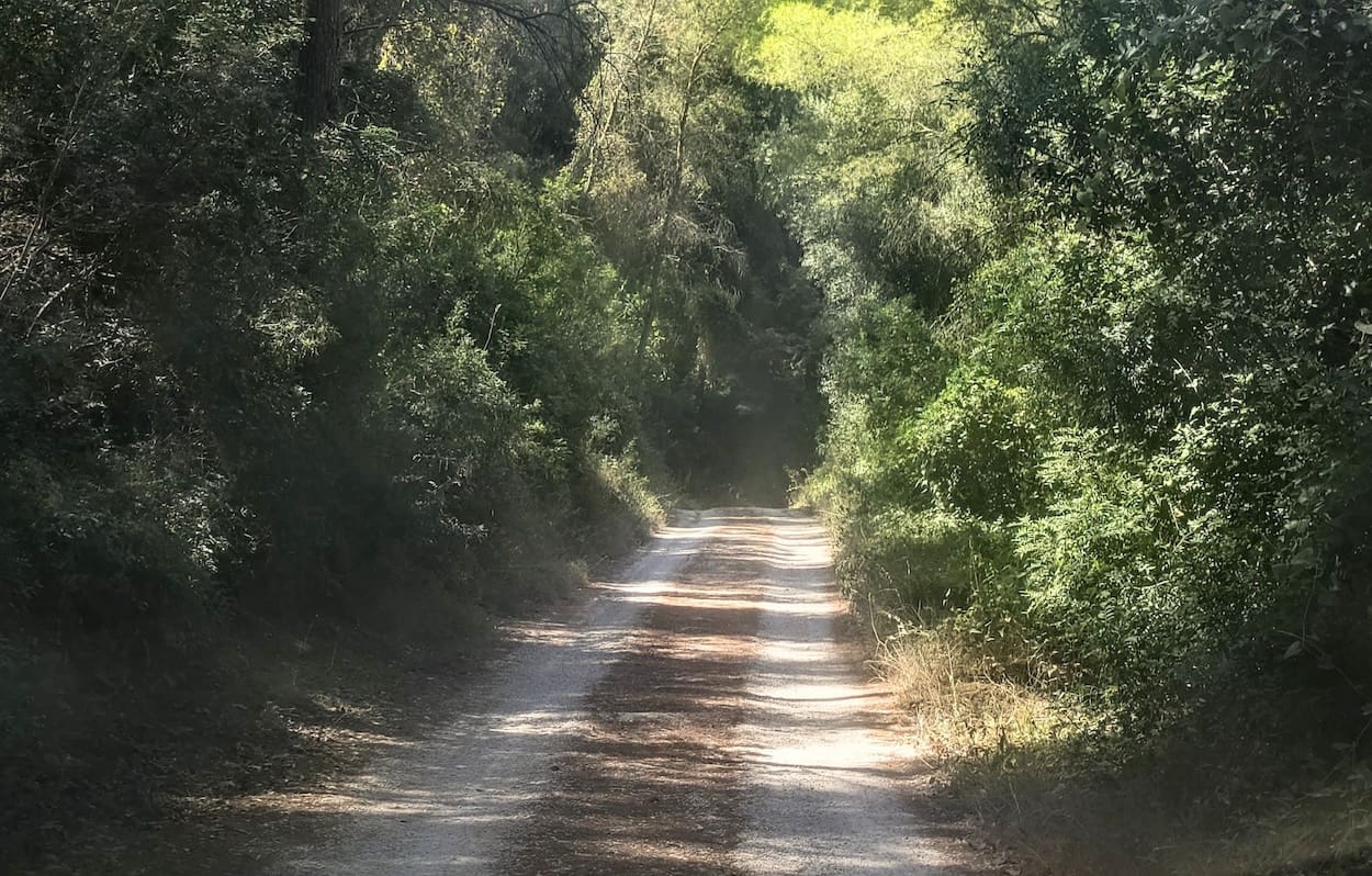 2 sypialnia Finka/Dom wiejski na sprzedaż w Tortosa z basenem garażem - 195 000 € (Ref: 10062292)