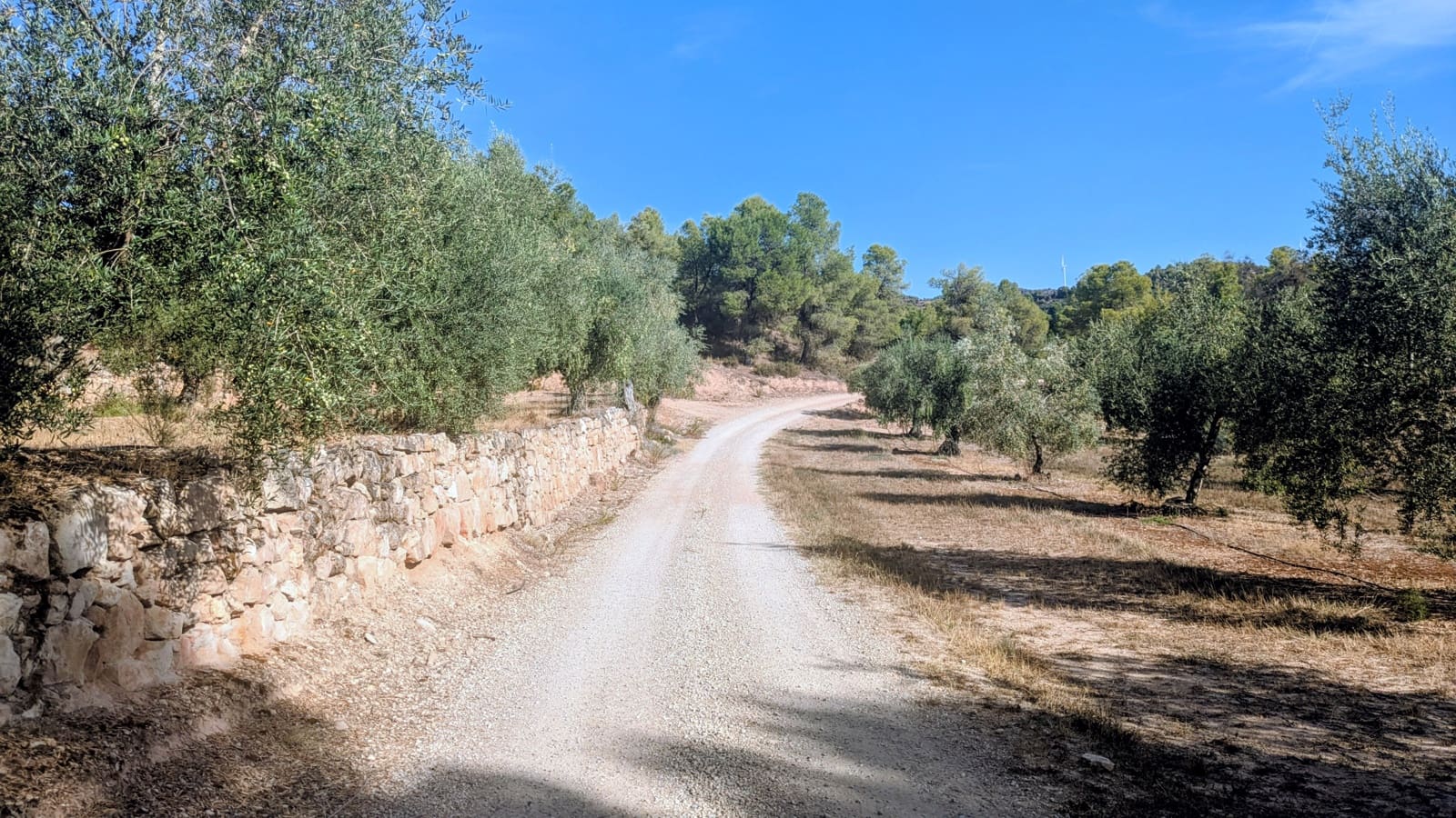 2 sovrum Finca/Hus på landet till salu i Flix - 185 000 € (Ref: 10115693)