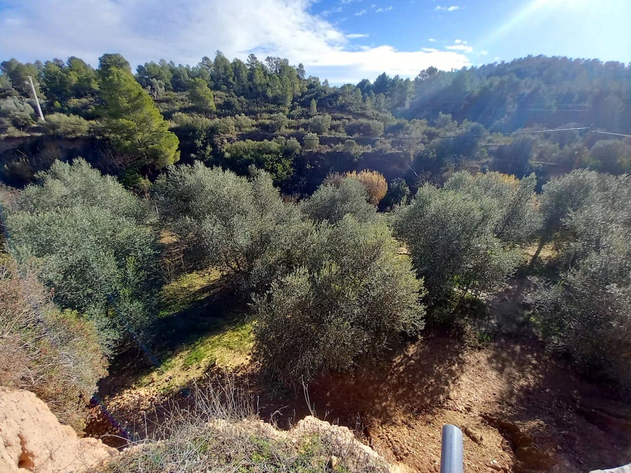 2 Zimmer Finca/Landgut zu verkaufen in Flix mit Pool Garage - 185.000 € (Ref: 10121076)