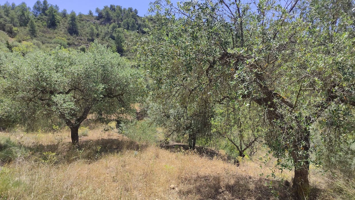 2 soveværelse Finca/Landehus til salg i La Figuera - € 27.500 (Ref: 8181928)