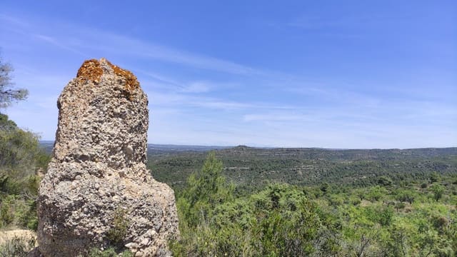 2 bedroom Finca/Country House for sale in La Figuera - € 27,500 (Ref: 8181928)