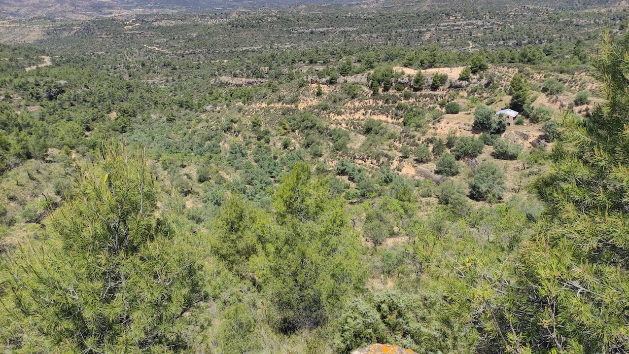 2 soveværelse Finca/Landehus til salg i La Figuera - € 27.500 (Ref: 8181928)