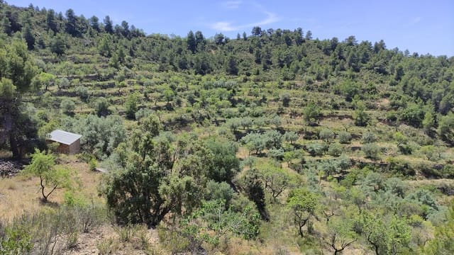 2 bedroom Finca/Country House for sale in La Figuera - € 27,500 (Ref: 8181928)