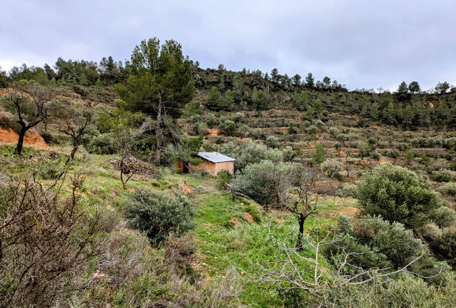 2 soveværelse Finca/Landehus til salg i La Figuera - € 27.500 (Ref: 8181928)