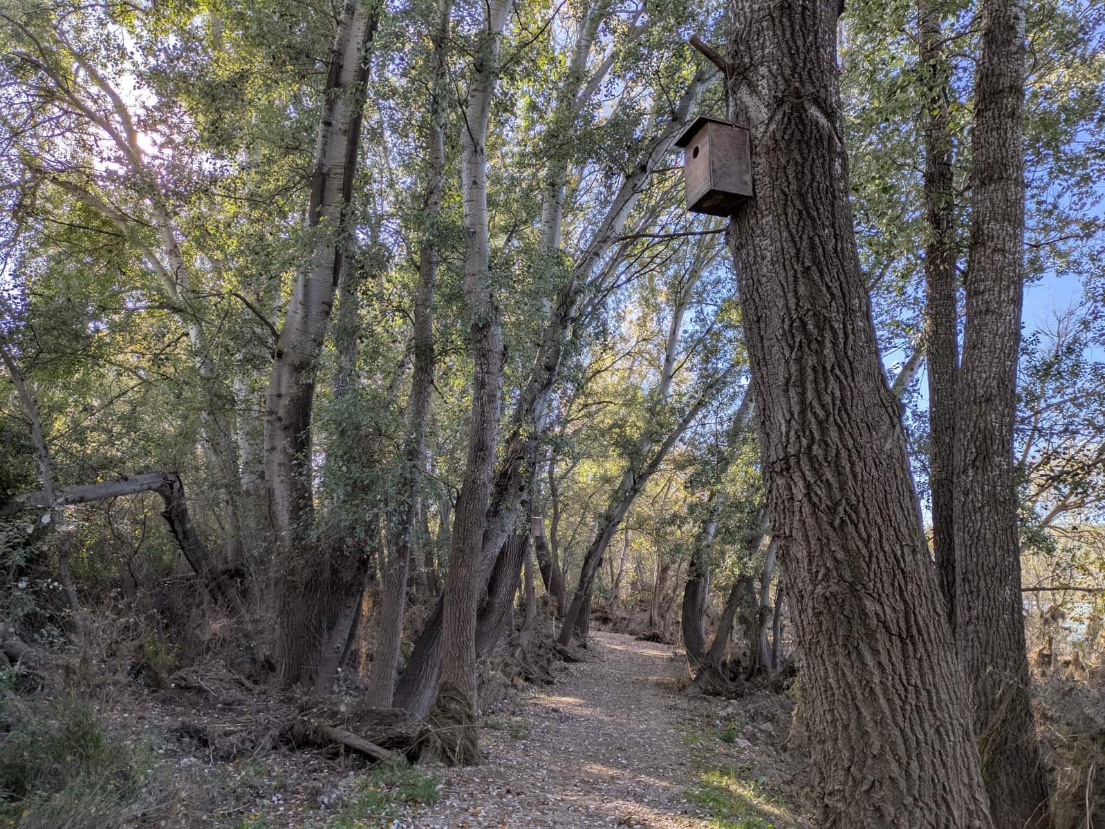 3 soveværelse Byhus til salg i Garcia med garage - € 13.000 (Ref: 8685653)