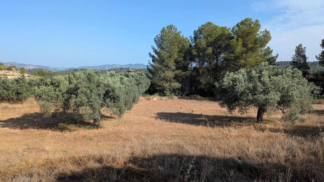 2 soveværelse Finca/Landehus til salg i Flix - € 40.000 (Ref: 9127856)