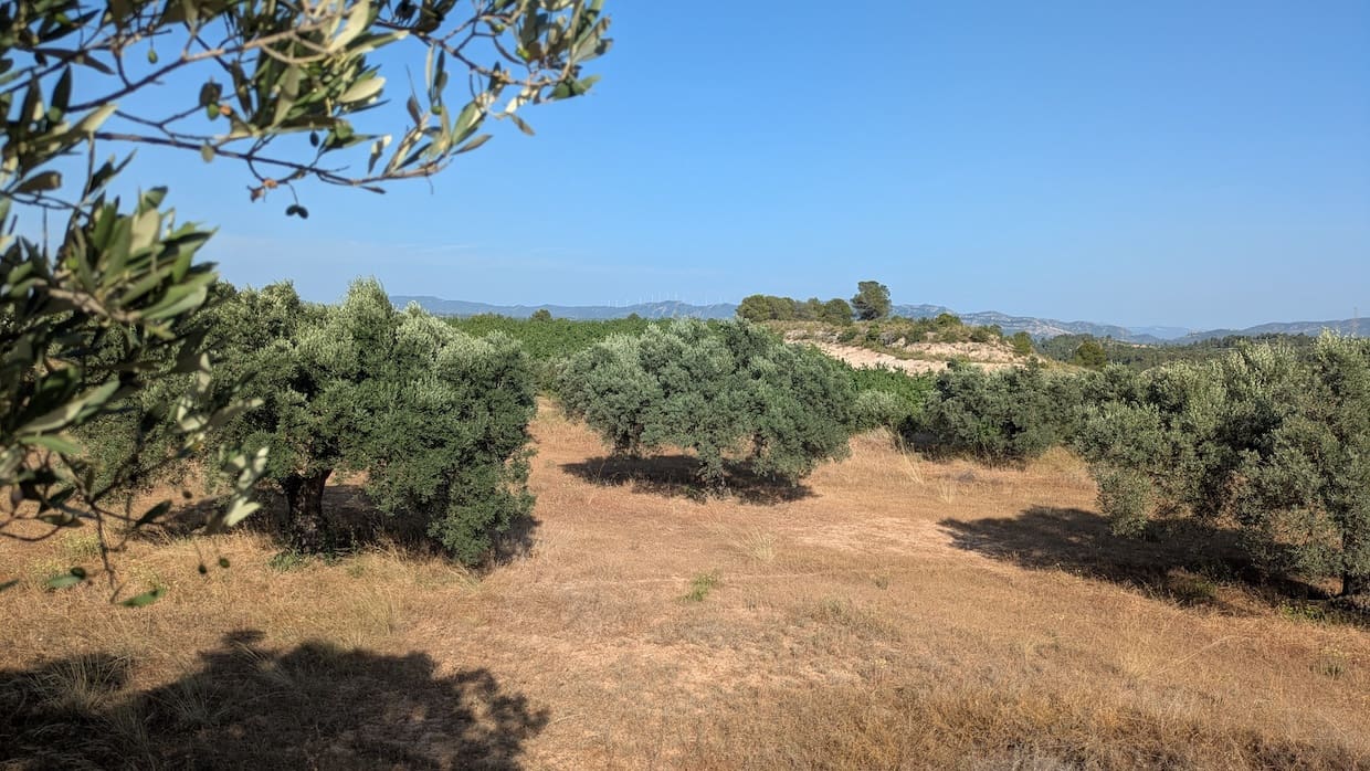 2 soveværelse Finca/Landehus til salg i Flix - € 40.000 (Ref: 9127856)