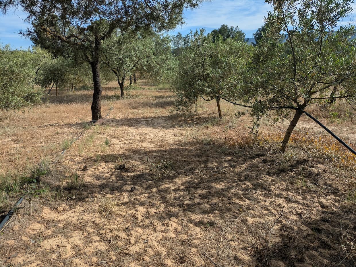 2 soveværelse Finca/Landehus til salg i Flix - € 40.000 (Ref: 9127856)