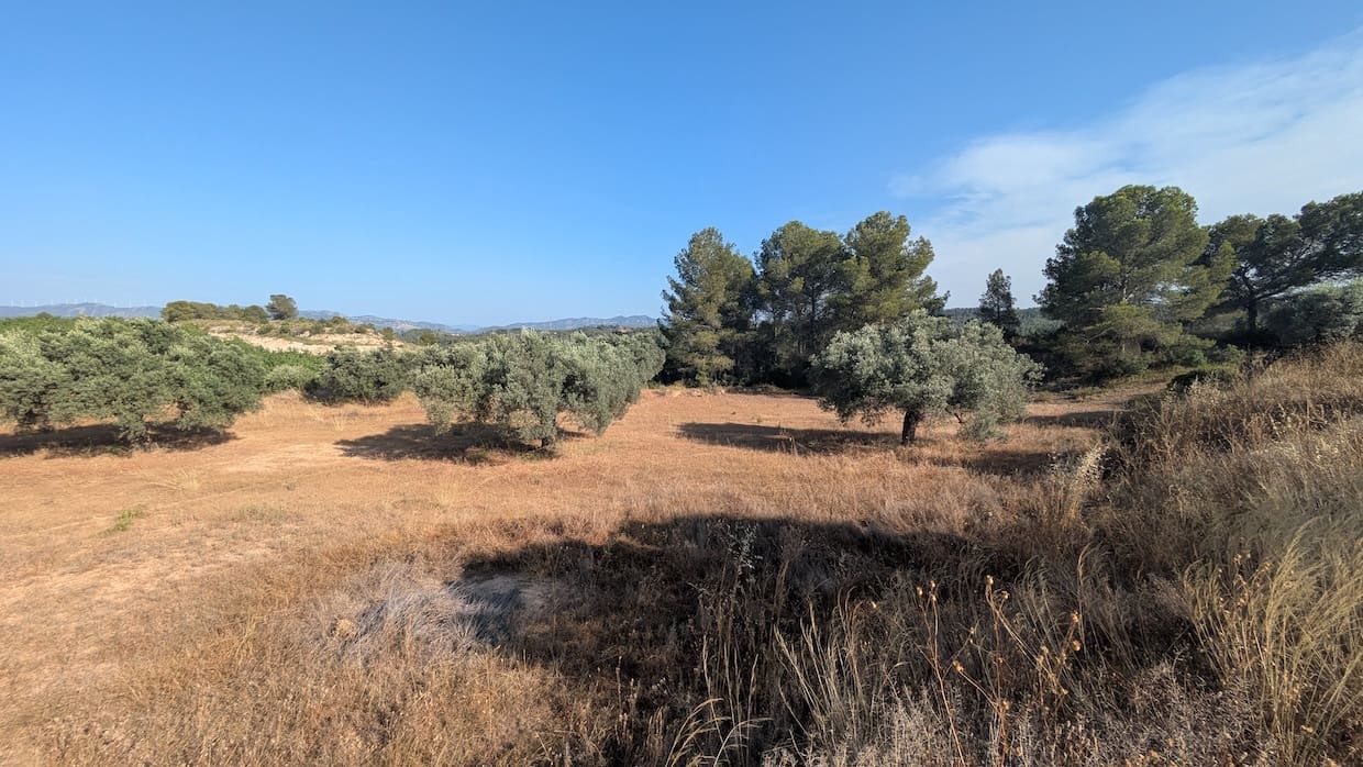 2 soveværelse Finca/Landehus til salg i Flix - € 40.000 (Ref: 9127856)