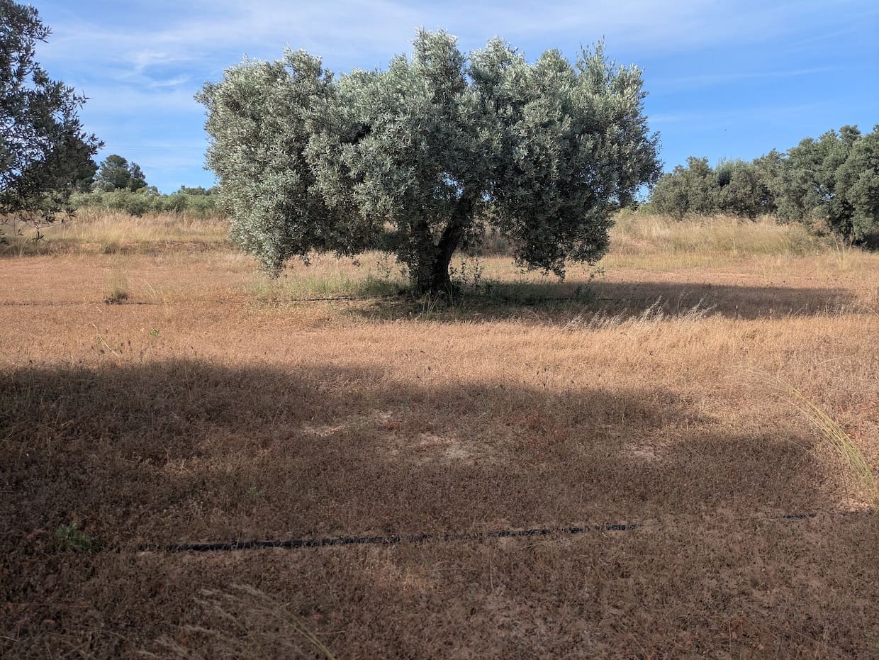 2 soveværelse Finca/Landehus til salg i Flix - € 40.000 (Ref: 9127856)