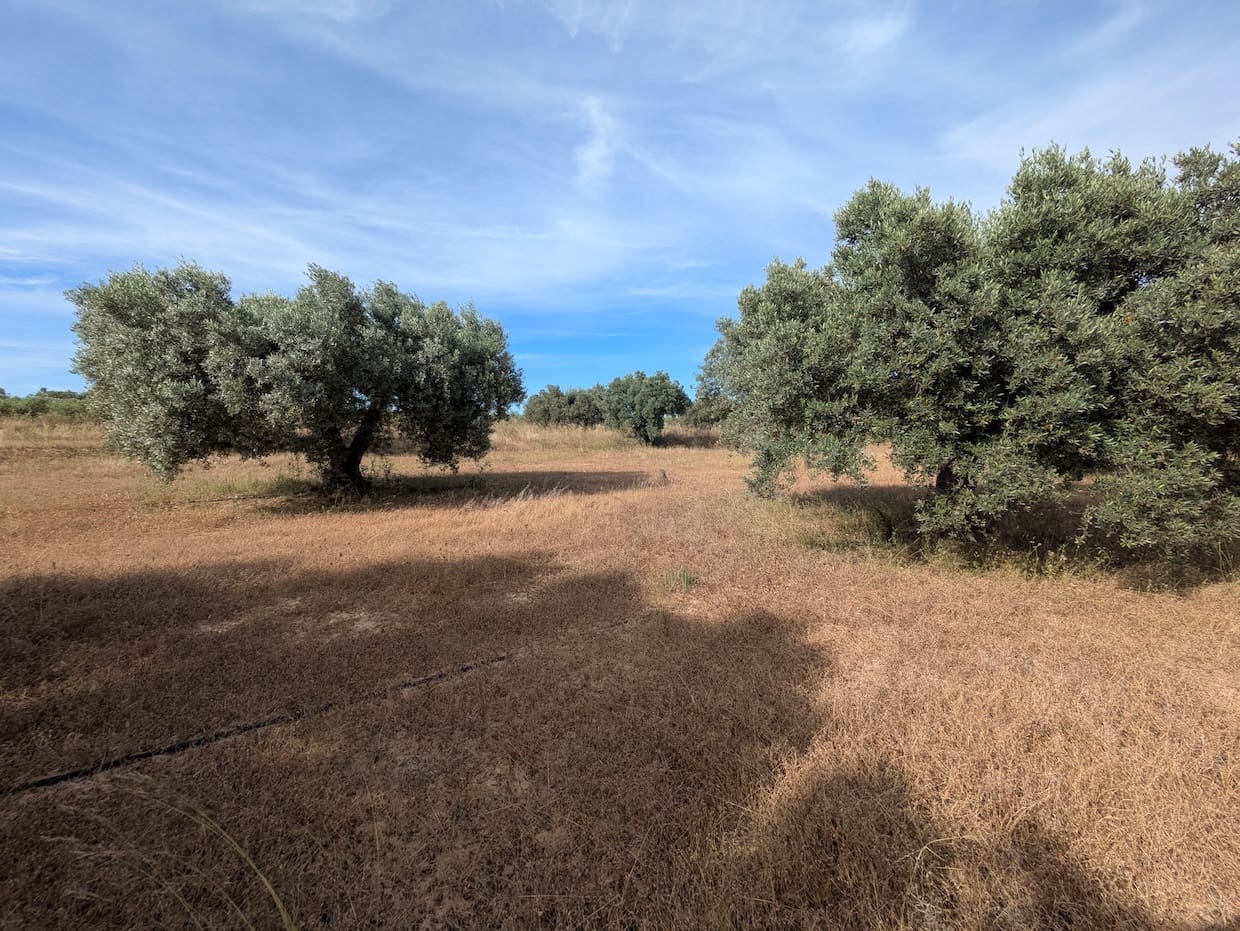 2 soveværelse Finca/Landehus til salg i Flix - € 40.000 (Ref: 9127856)