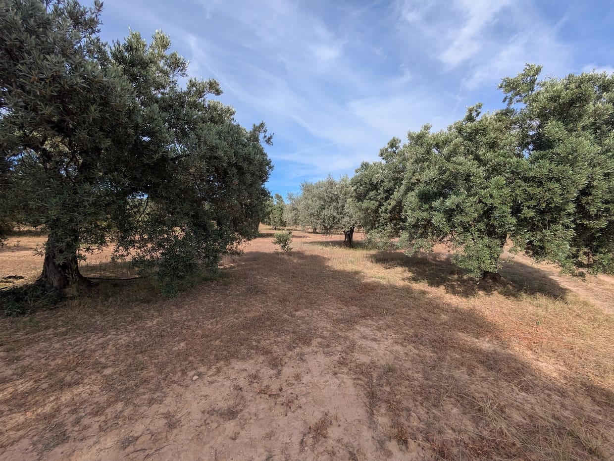 2 soveværelse Finca/Landehus til salg i Flix - € 40.000 (Ref: 9127856)