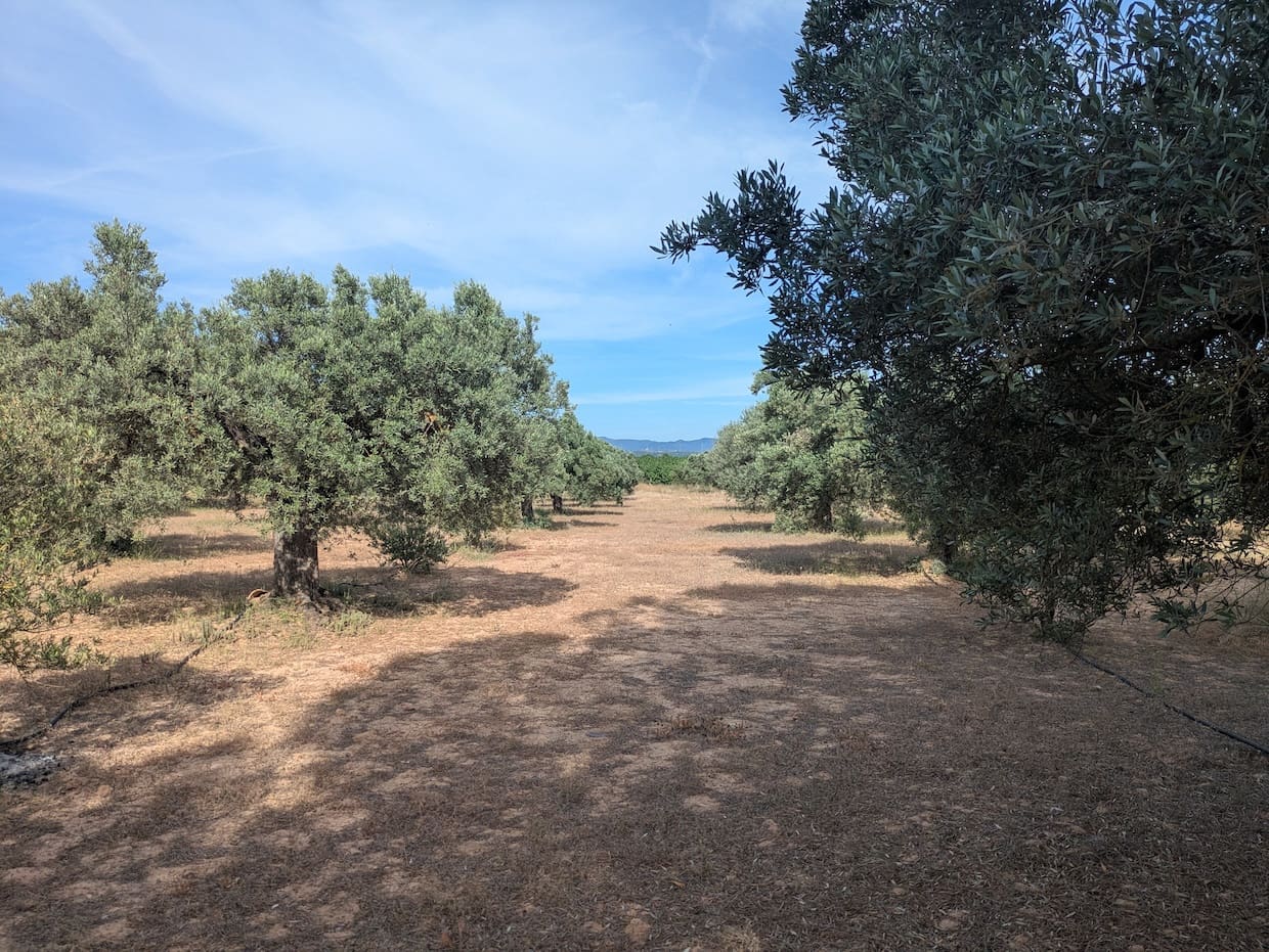 2 soveværelse Finca/Landehus til salg i Flix - € 40.000 (Ref: 9127856)