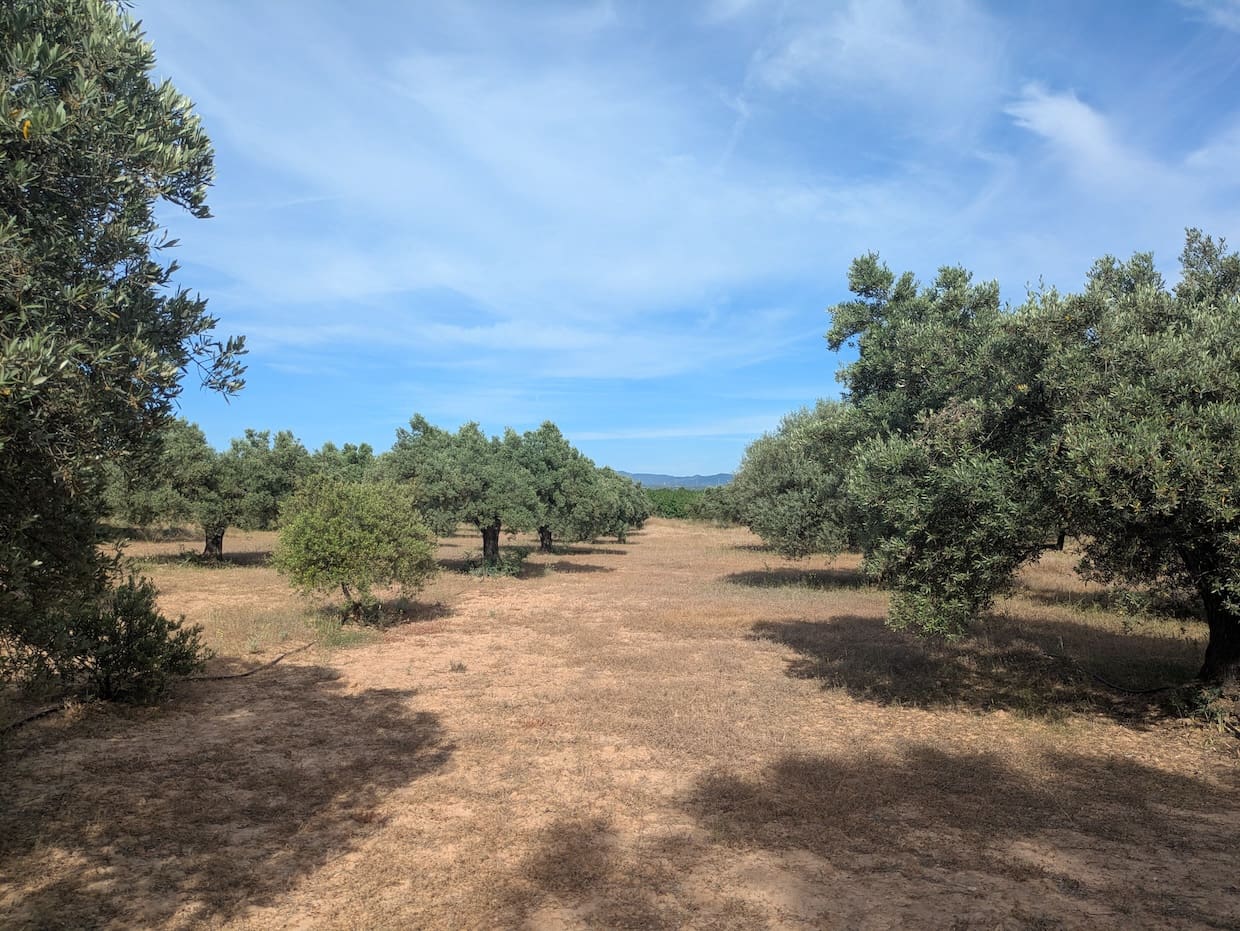 2 soveværelse Finca/Landehus til salg i Flix - € 40.000 (Ref: 9127856)