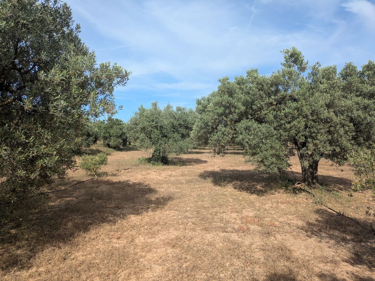 2 soveværelse Finca/Landehus til salg i Flix - € 40.000 (Ref: 9127856)