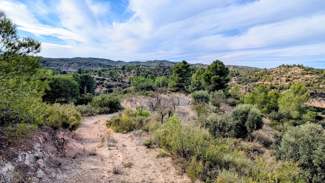 3 bedroom Finca/Country House for sale in Flix - € 115,000 (Ref: 9331330)