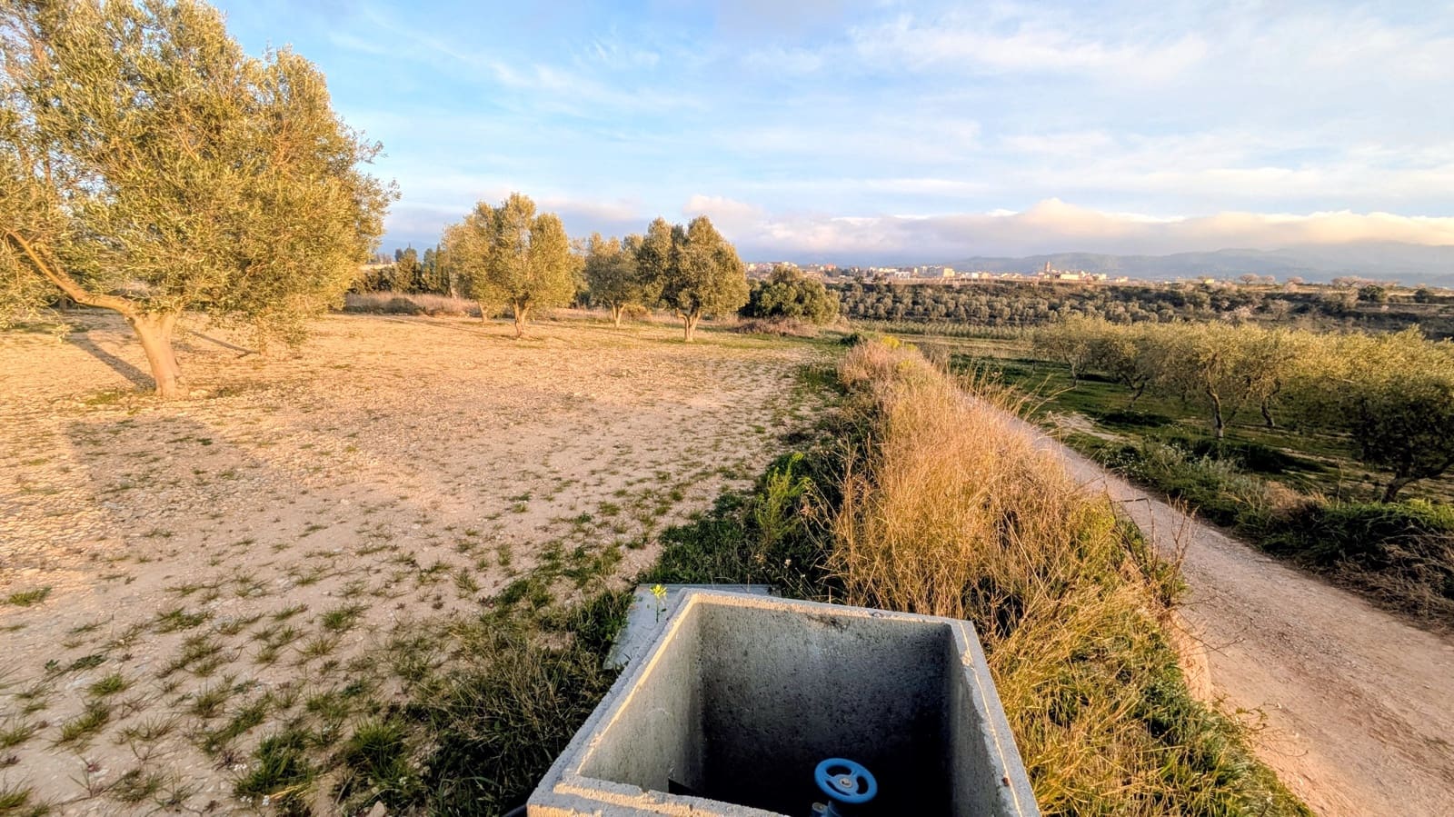 Mark till salu i Gandesa - 10 500 € (Ref: 9649791)