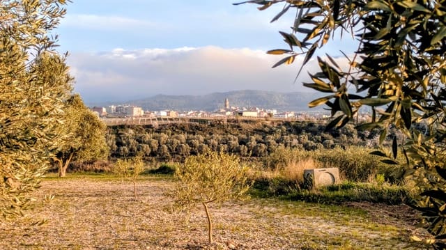 Mark till salu i Gandesa - 10 500 € (Ref: 9649791)